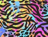 Safari